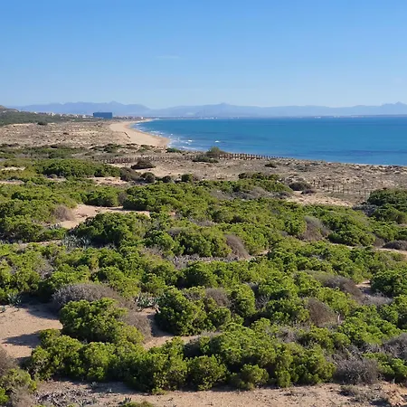 Al048 Pinada Iv La Mata La Mata (Torrevieja)